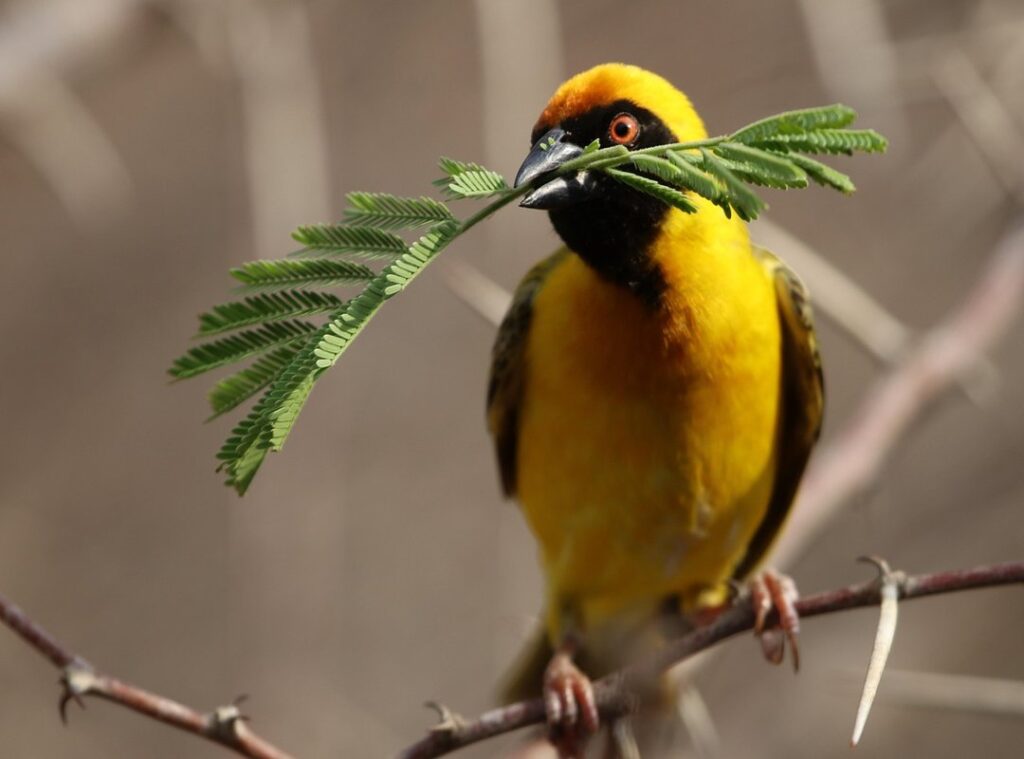 hotmail mundo cuentas