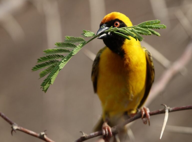 hotmail mundo cuentas