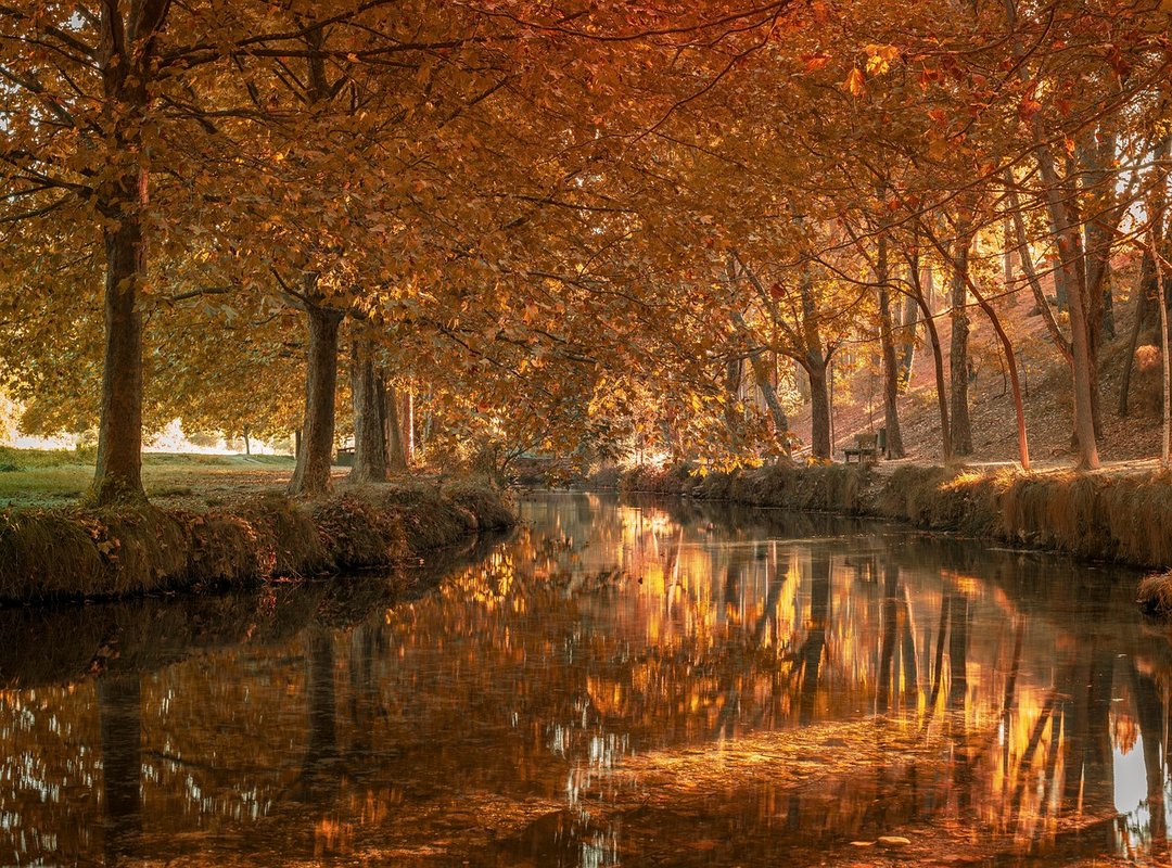 Significado y Simbolismo de los Tatuajes de Payasos