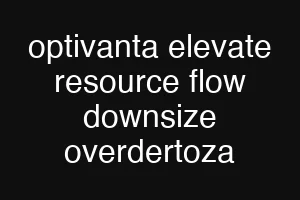 optivanta elevate resource flow downsize overdertoza